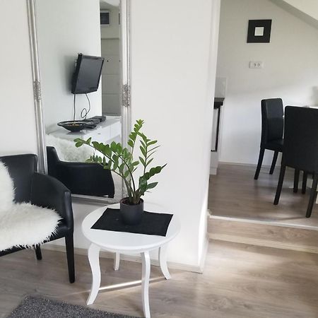 Stan Na Dan Angel Apartment โนวีซาด ห้อง รูปภาพ