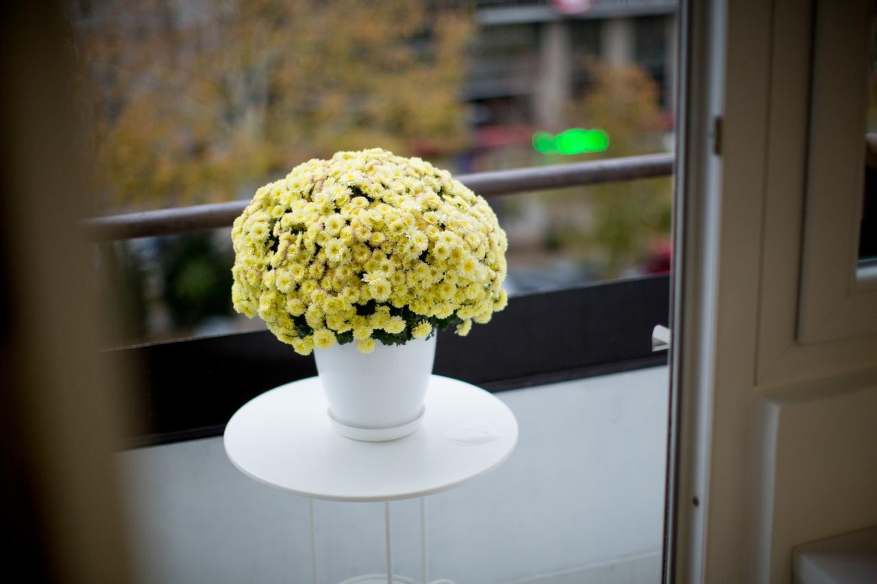 Stan Na Dan Angel Apartment โนวีซาด ภายนอก รูปภาพ