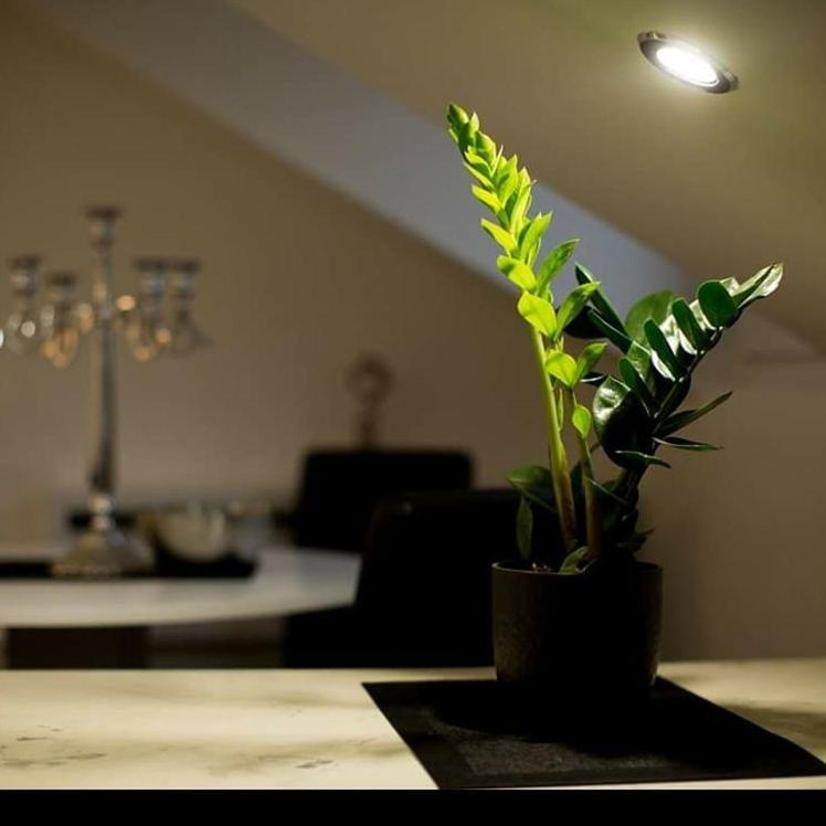 Stan Na Dan Angel Apartment โนวีซาด ภายนอก รูปภาพ